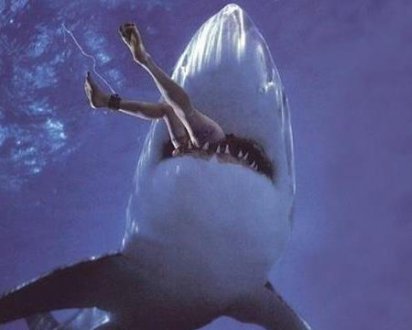 梦见鲨鱼吃人是什么意思