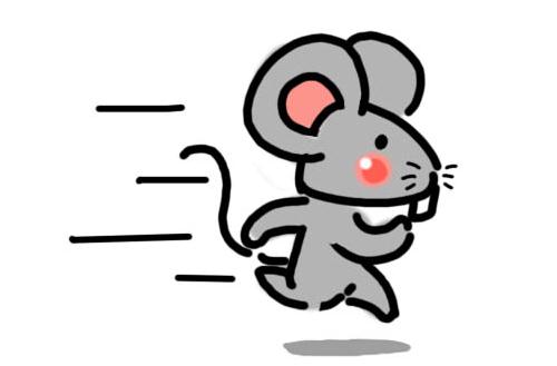 Image result for 屬鼠