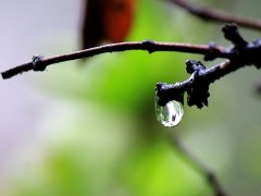 二十四节气之雨水的由来和习俗