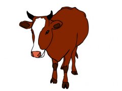 1985年出生属牛的人2016年运程