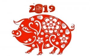 为什么说2019年的猪是百年难遇，大师告诉你