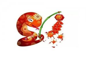 属蛇的人55岁开始好运连连了吗，2020年有什么样的运势