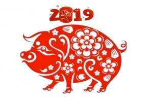 属猪人2019本命年桃花运好吗