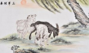 1967年属羊2020年害太岁运势如何，犯太岁要佩戴什么化解