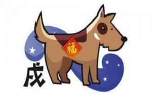 属狗今年有一难吗？2020年会遇到什么灾难