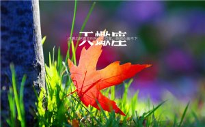 天蝎座2020年幸运色，灰色提升运势