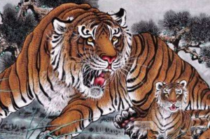 1986年属虎的的灾难年龄是几岁，如何化解