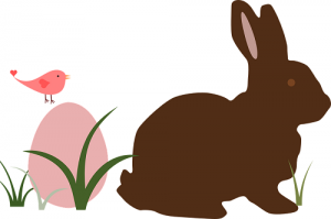 属兔人最怕几月出生，四月兔运势一般