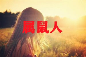 属鼠人2020年7月份运势，运势有所回升