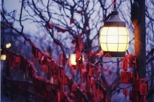 属虎的2021年戴什么防小人招财，属虎牛年开运吉祥物
