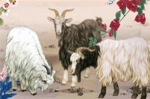 两个属羊的在一起合不合，属相都是羊能结婚吗