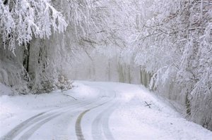 立冬和冬至什么区别，关于立冬和冬至的风俗